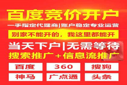 大型SEM服务公司案例分析